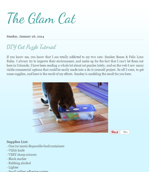 Food Puzzles for Cats; Going to the Vet - Catwatch Newsletter