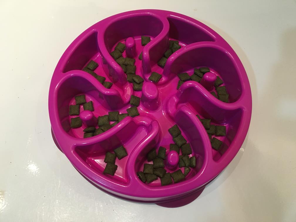 Canine slow feeder filled w/treats to encourage exploration!