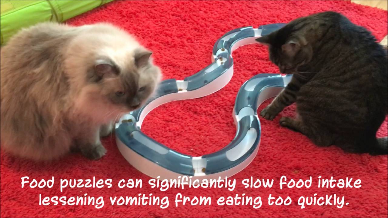 Stationary Puzzles - Food Puzzles for Cats