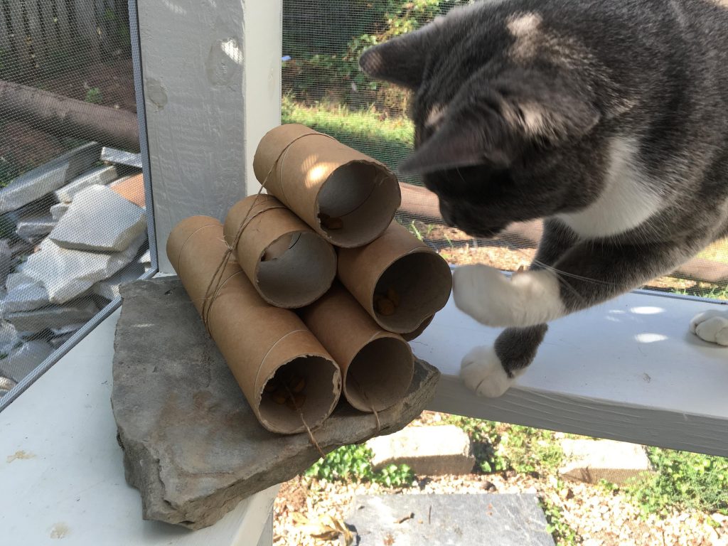 Twine, cardboard tubes and a rock! Food Puzzles for Cats