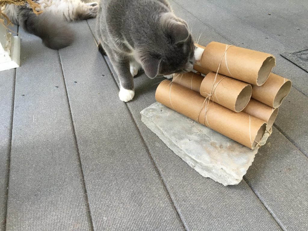 Twine, cardboard tubes and a rock! Food Puzzles for Cats