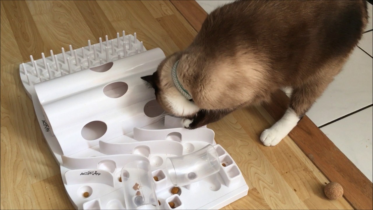 Domino Foraging Board by Trixie Pet - Food Puzzles for Cats