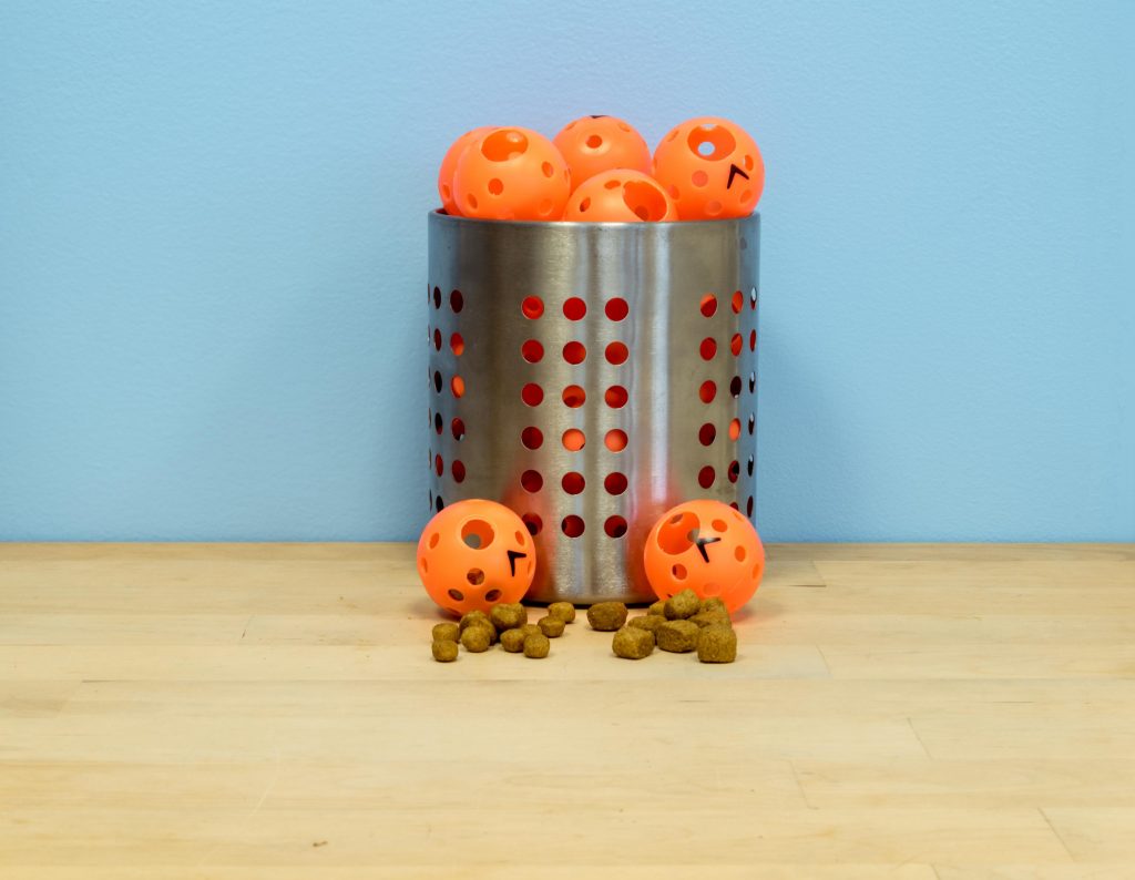 Foraging PingPong Balls by Fundamentally Feline Food Puzzles for Cats