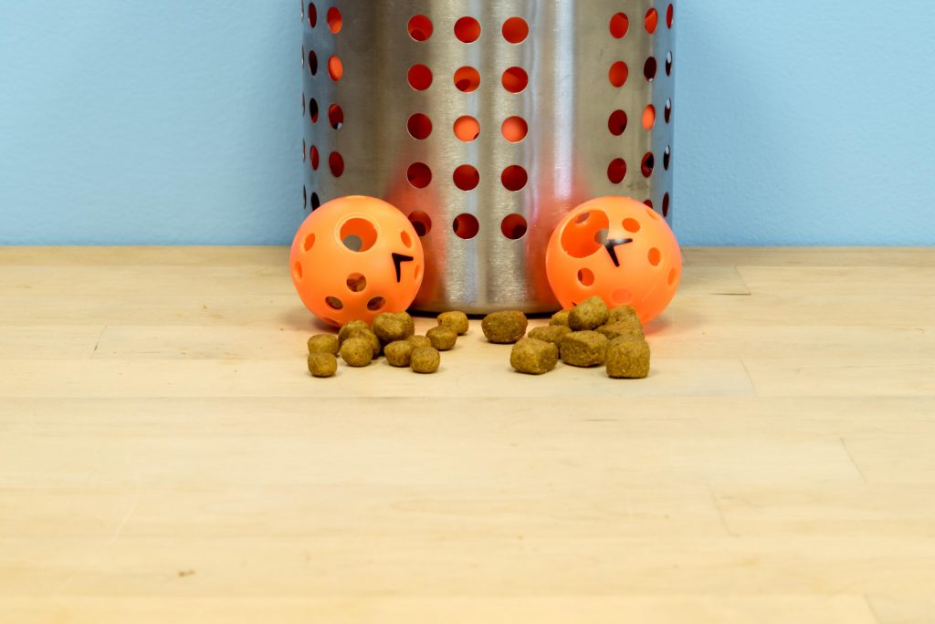 Foraging PingPong Balls by Fundamentally Feline Food Puzzles for Cats