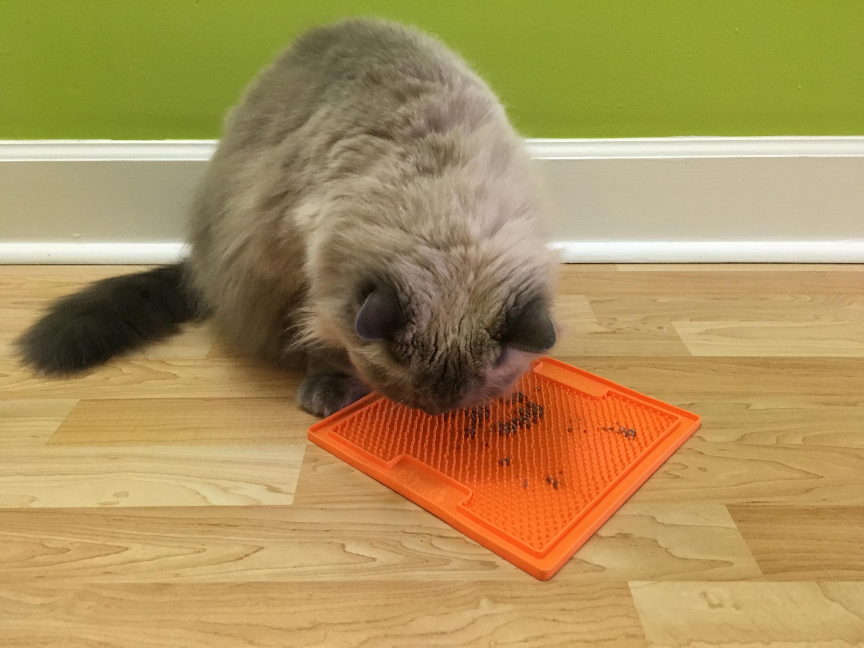 The LickiMat - Food Puzzles for Cats