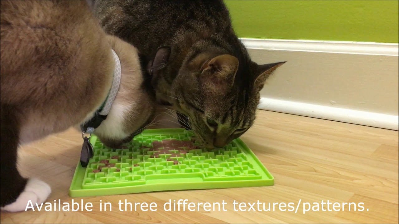Modular cat enrichment puzzle feeder by Machspace