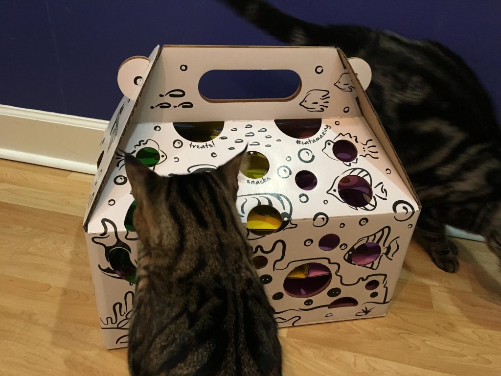 cat-epic-food-puzzles-for-cats