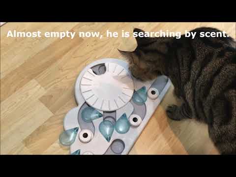 best cat food puzzles