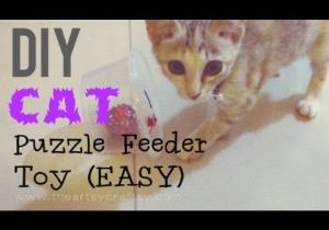 DIY-Easy-Cat-Puzzle-Feeder-Toy