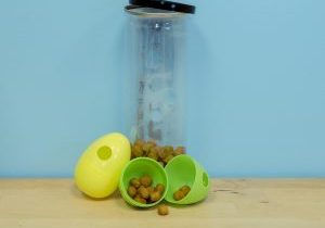 The Foraging Toy Starter Kit.
