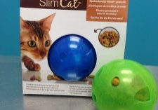 Slim Cat Ball