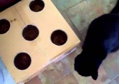 Stimulating-Cat-Food-Bowl-2